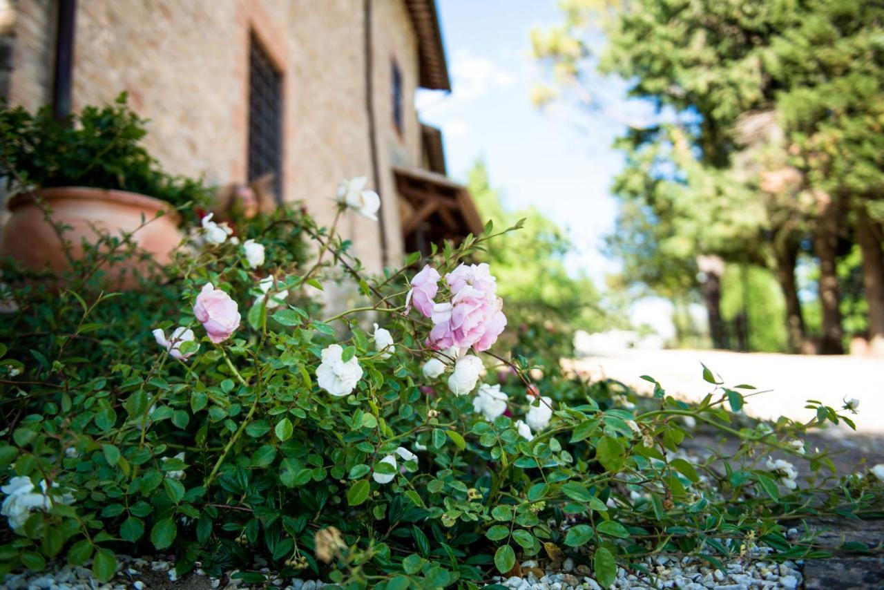 Villamena Assisi Exteriér fotografie